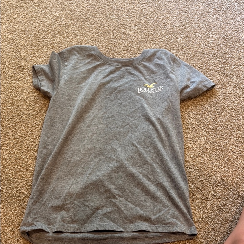 Hollister Women’s Gray T-Shirt